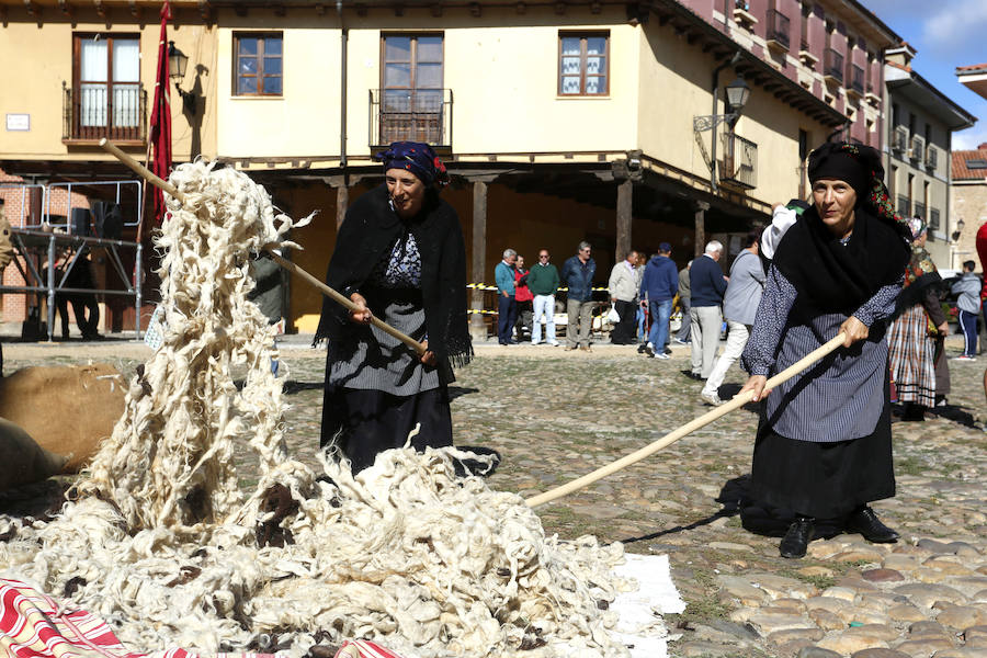 Tradicional romería de La Melonera