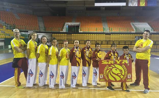 El Club Taekwondo Saya logra doce medallas en el Open Cidade de Orense