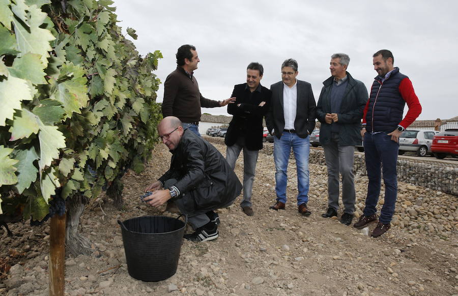 Un repaso a los anteriores padrinos de la vendimia de la Dehesa de los Canónigos