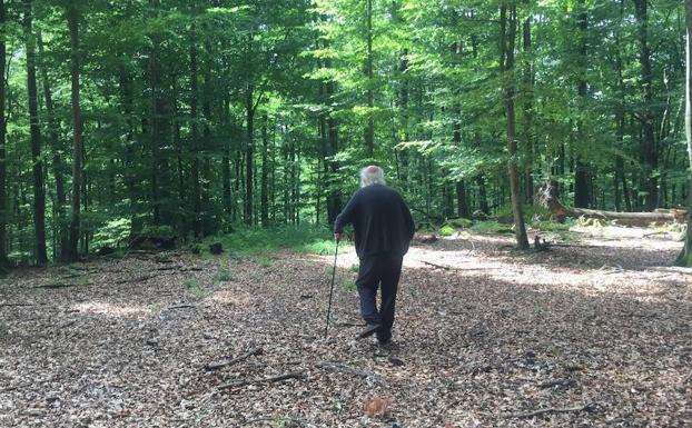 El Musac propone un taller en la naturaleza para conocer el arte de Herman de Vries