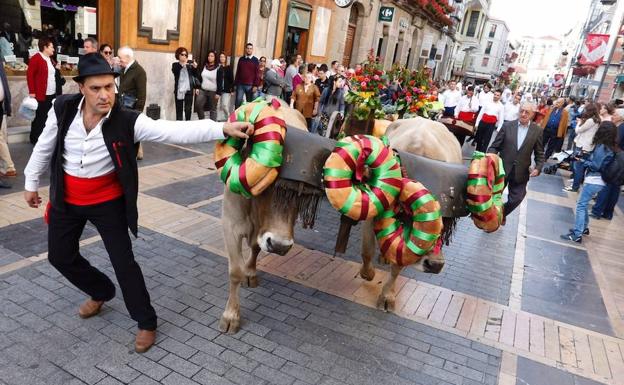 Los carros engalanados llenan de alegría las calles de León