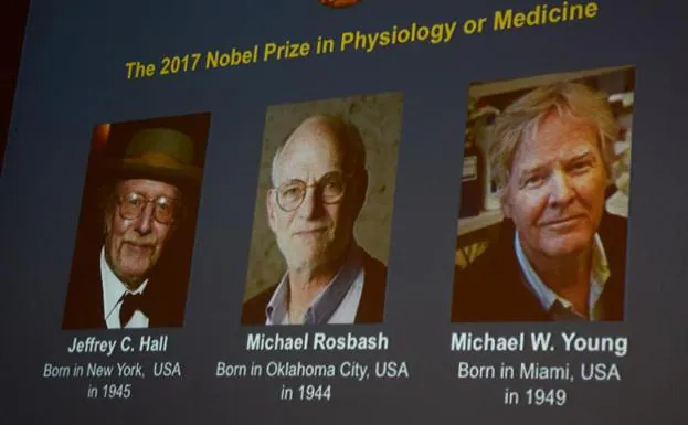 El Nobel de Medicina para los descubridores de la maquinaria del reloj biológico