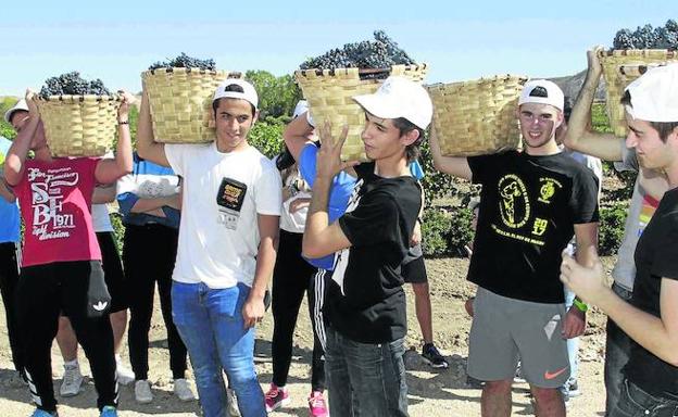 Seis colegios de la comunidad se alzan con los premios del concurso ‘Mi primera vendimia’