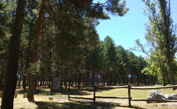 La Robla estrena la ruta de senderismo de 'Los Robles Centenarios'