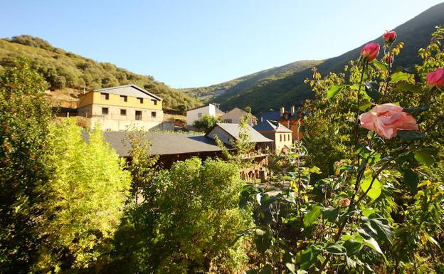 Unidos para perseguir la belleza