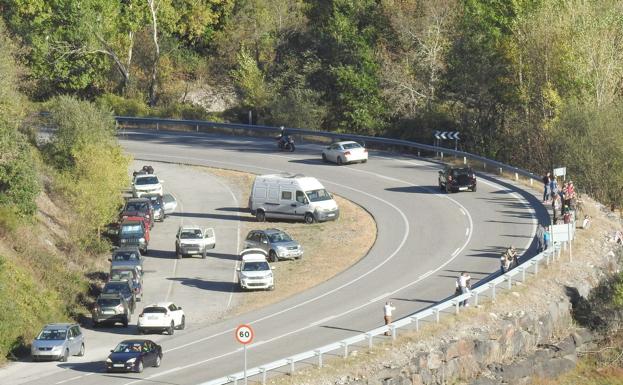 Oso Pardo reclama una vez más la regulación urgente del turismo en torno a la especie