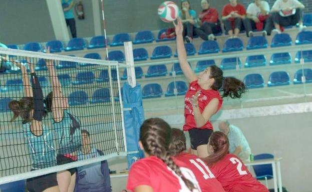 Complicado inicio de temporada para el voleibol leones