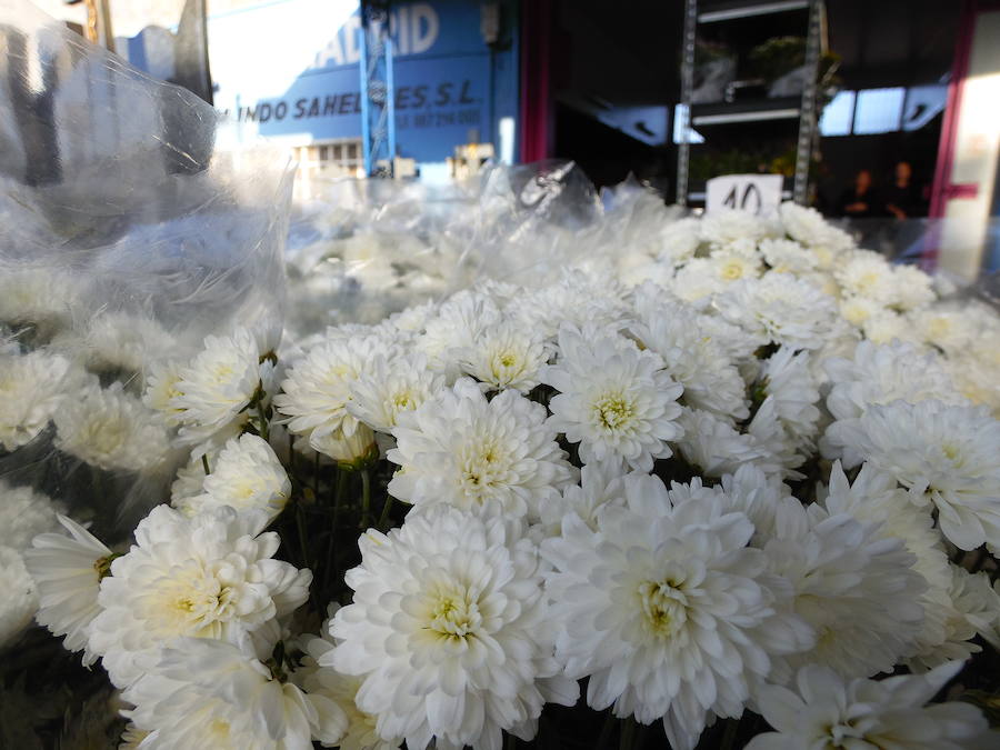 Flores Madrid, siempre a tu lado