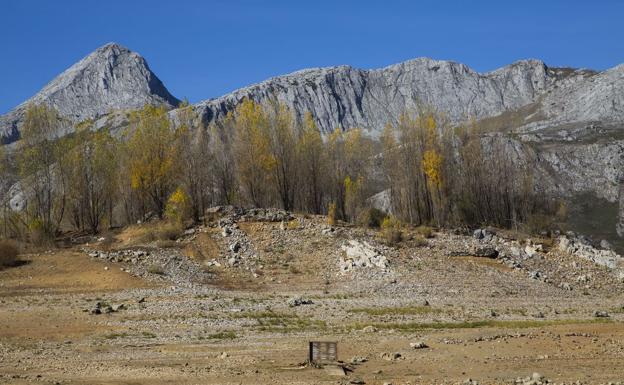 Ecologistas en Acción pide la suspensión temporal del periodo de caza por el impacto de la sequía