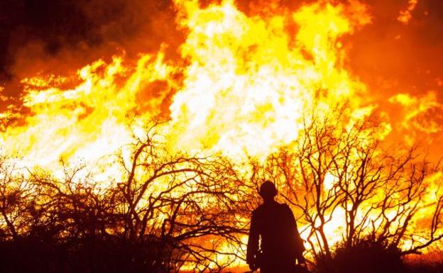 Expertos de toda España debaten sobre incendios forestales en el Centro del Fuego de León