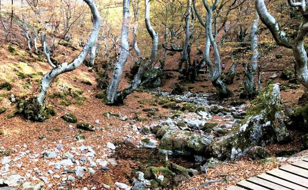 Leyendas, cuentos y naturaleza en El Faedo