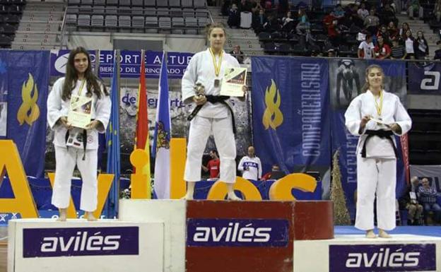 Dos platas y dos bronces 'internacionales' para el judo leonés