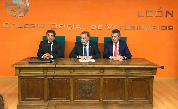 El mundo de la tauromaquía reivindica el papel de los veterinarios en León