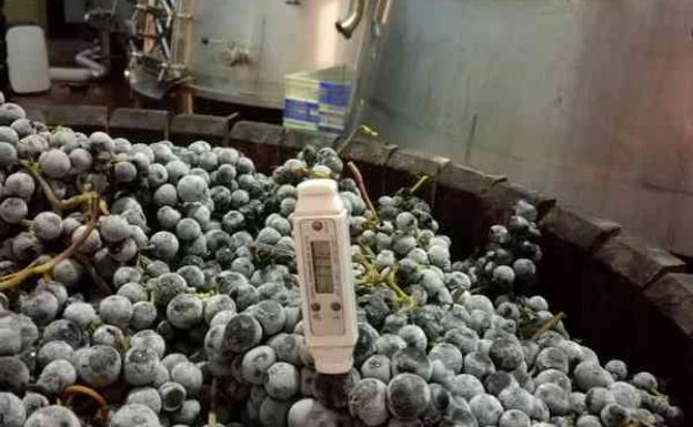 Un ribera dulce y de hielo