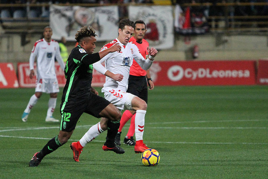 Cultural 1-1 Granada