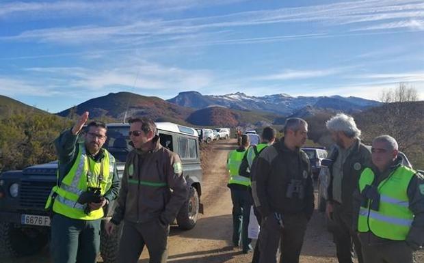 Disparan a un oso durante una cacería de jabalí en Palencia