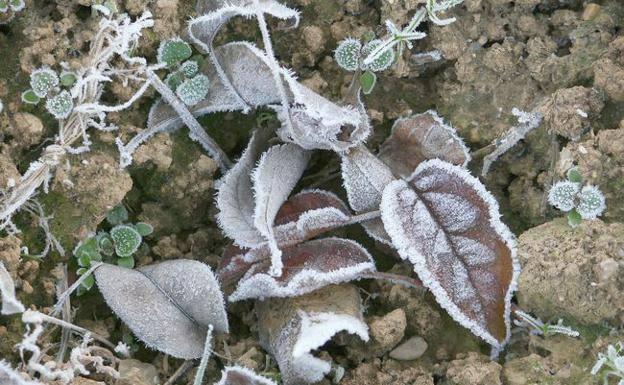 San Isidro registra la segunda temperatura más baja de España esta madrugada