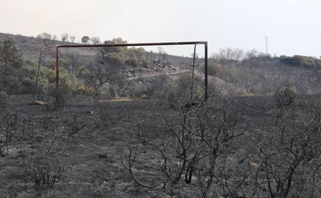 C´s solicita información a la Consejería de Fomento sobre las acciones realizadas en el incendio de La Cabrera