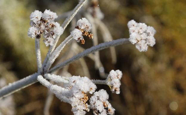 Registrada en Sanabria la segunda temperatura más baja de España con -9,6 grados