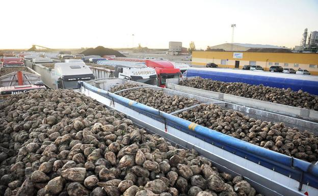 ACOR aprueba sus cuentas con un beneficio bruto de 1,5 millones