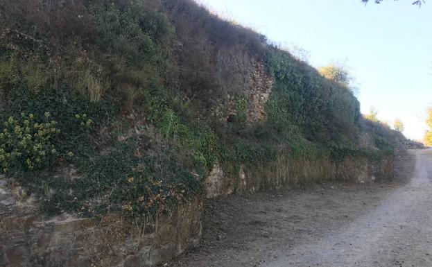 C's pide en las Cortes la restauración y el reinicio de investigaciones arqueológicas en Castro Ventosa