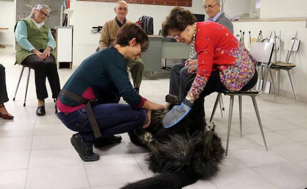León implanta la terapia con perros en la residencia Virgen del Camino y el centro de menores Gloria Fuertes
