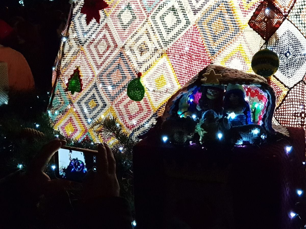 Un árbol de récord en Villoria de Órbigo