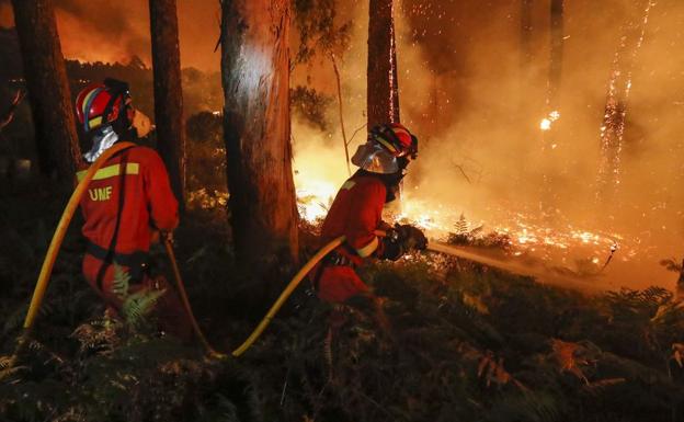 La UME cierra 2017 con un total de 43 actuaciones en incendios, con el de La Cabrera como el más virulento