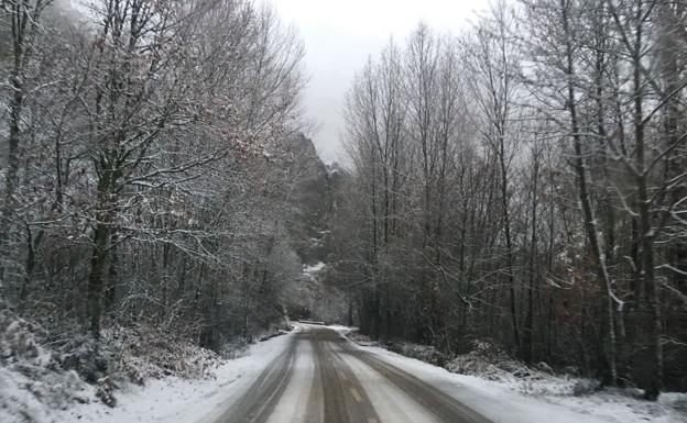 La nieve impide circular a camiones en varias carreteras de la provincia de León