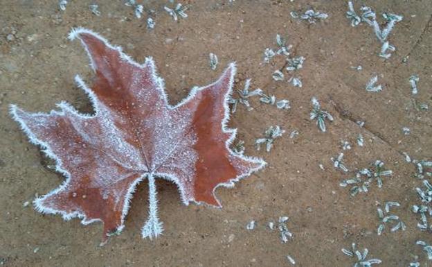León registra 3,3 grados bajo cero durante esta noche