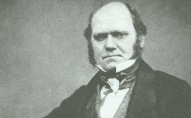 Resuelto el «misterio abominable» de Darwin sobre cómo las plantas con flores conquistaron el mundo
