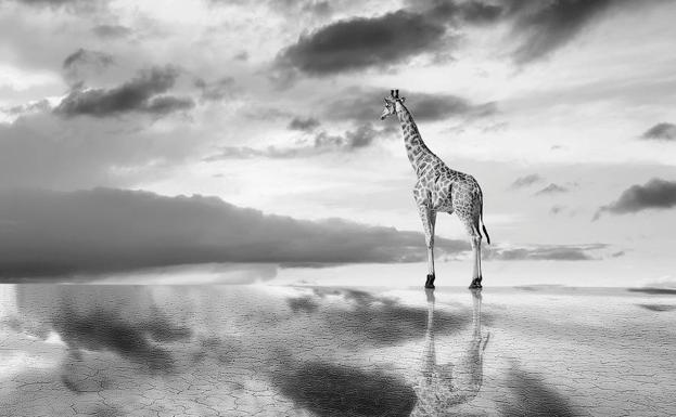 El leonés Richard Le Manz toca el éxito en el mejor concurso de fotografía en blanco y negro del mundo