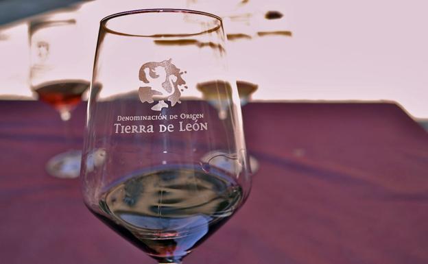 Seis bodegas representarán a la DO Tierra de León en el Salón de los Grandes Vinos de Castilla y León