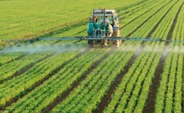 Abierta la votación anticipada de las elecciones agrarias para los más de 6.000 votantes leoneses