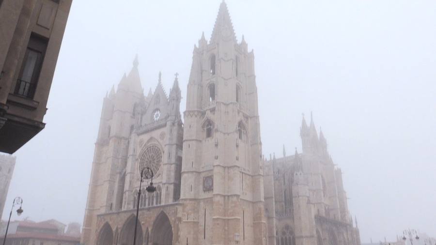 La niebla envuelve León capital