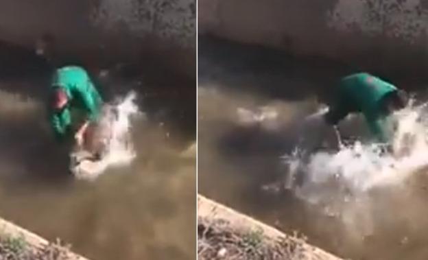 La Guardia Civil identifica al hombre que intentó ahogar a un jabalí en una acequia