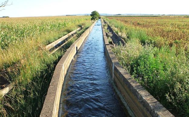 Los regantes de la presa de la Vega de Abajo promoverán la modernización de su regadío