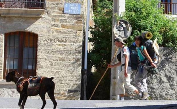 Los peregrinos disfrutarán de entrada gratuita a la exposición sobre el Camino de Santiago del Musac