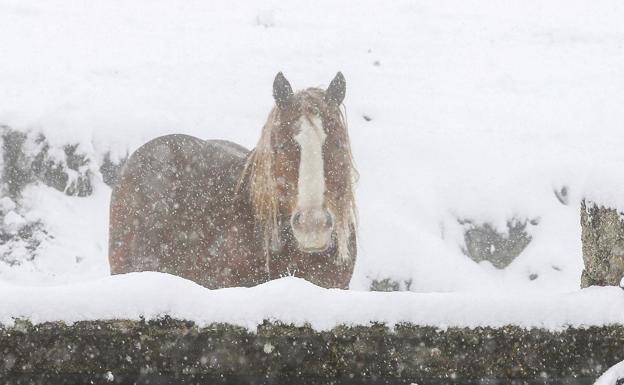 Protección Civil mantiene la alerta ante nieve y heladas en las próximas horas en la provincia