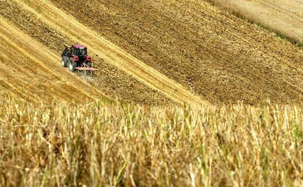 Asaja cierra su campaña en Sahagún y exige la modernización de los regadíos de la provincia «en seis años»