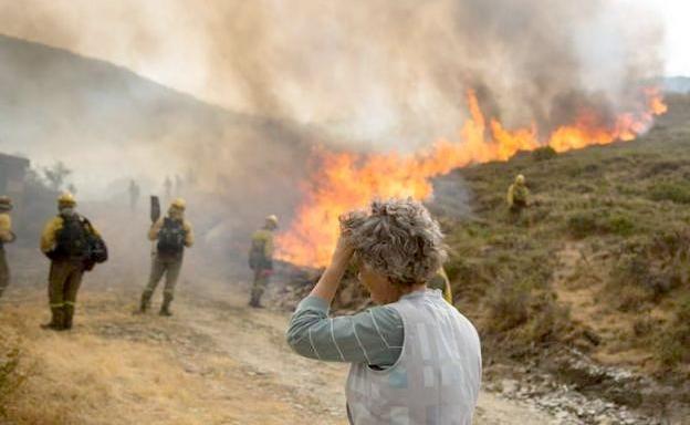 La inversión para restaurar las zonas afectadas por los incendios de La Cabrera del 2017 suma tres millones