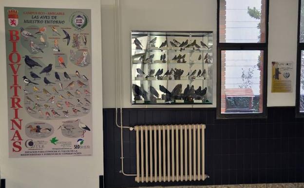 La faculta de Biológicas instala una estación de alimentación para aves