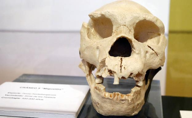 La Diputación celebra el X aniversario del Museo Etnográfico de Mansilla con la evolución humana