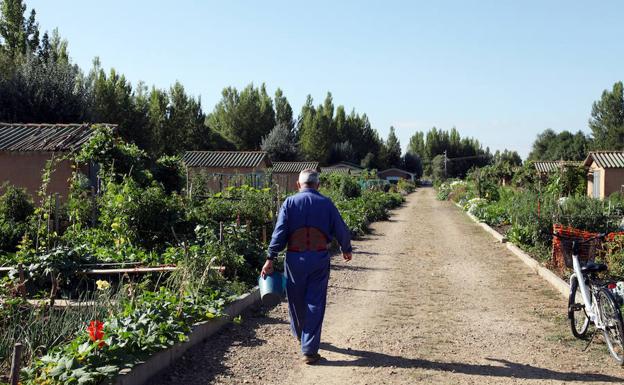 El Ayuntamiento de León analizará la tierra de los huertos de la Candamia para comprobar el no uso de productos químicos
