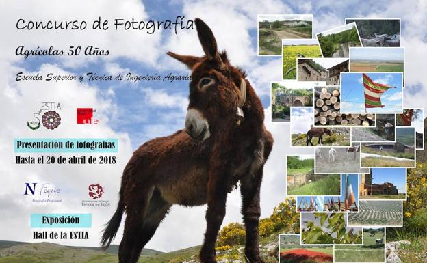 Continúa abierto el plazo para los concursos convocados por la escuela de agrícolas