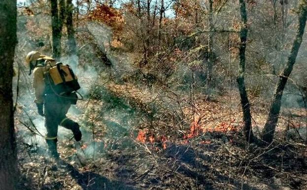 Robledo de las Traviesas sufre el primer incendio forestal de 2018 en la provincia de León