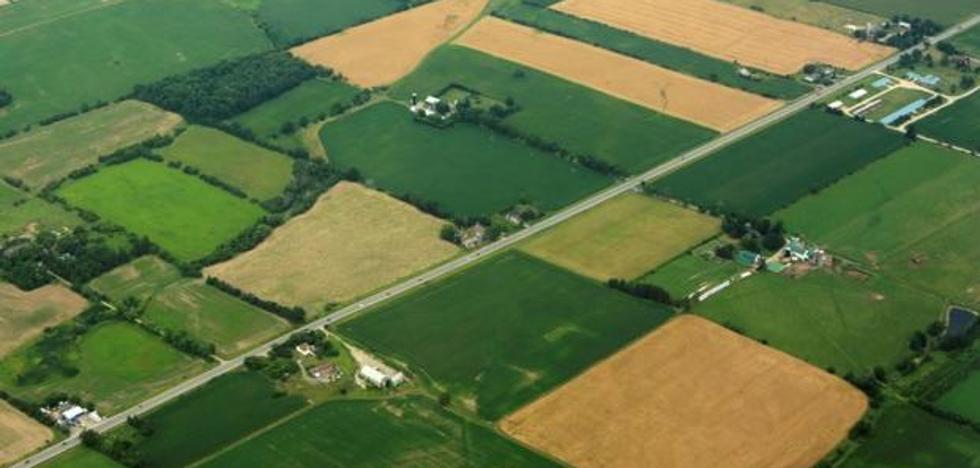 El campo leonés acumula 432.821 hectáreas pendientes de concentración, más de la mitad del total