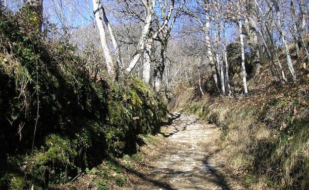 La tercera ruta de senderismo organizada por la ULE conducirá a Cebreiro