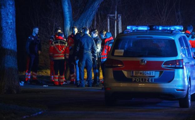 Cuatros heridos graves en dos ataques con cuchillo en el centro de Viena