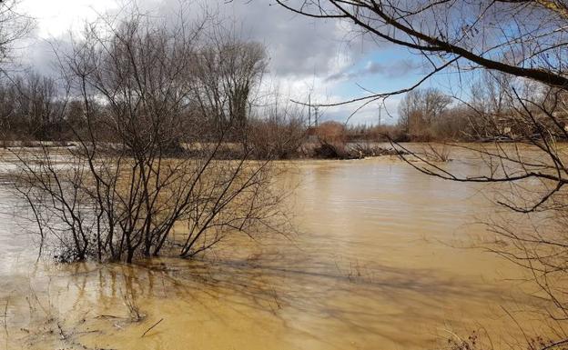 El Esla amenaza con inundaciones a su paso por Valencia de Don Juan